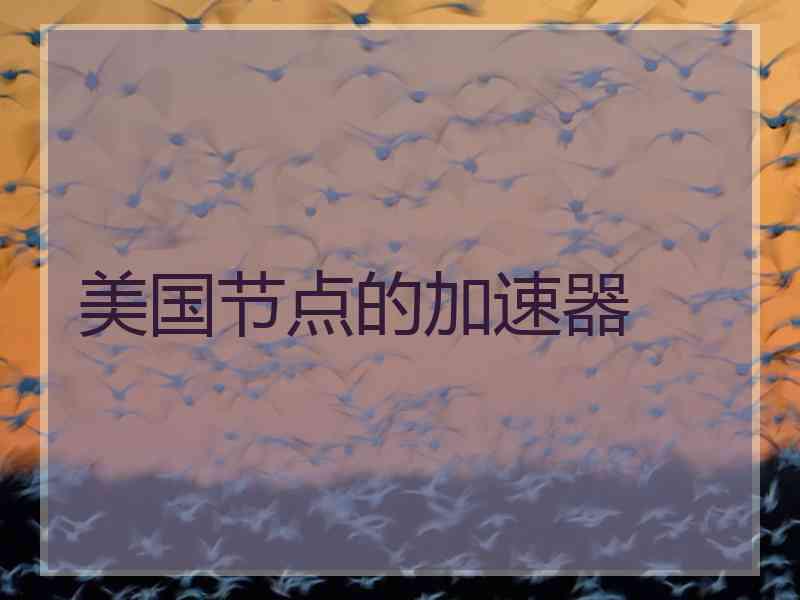 美国节点的加速器