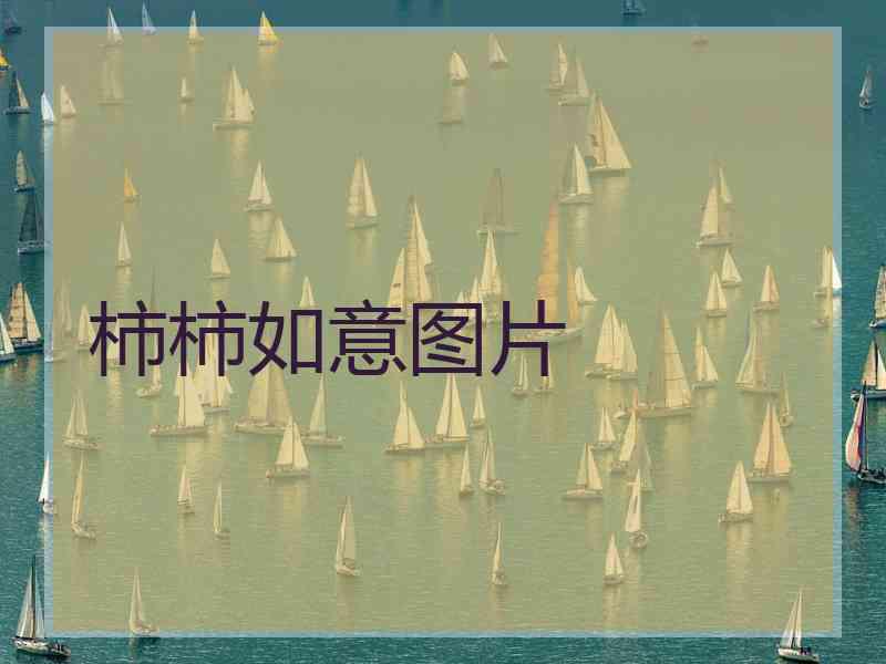 柿柿如意图片