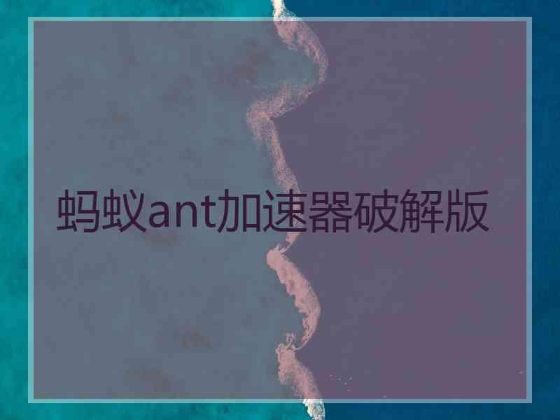 蚂蚁ant加速器破解版