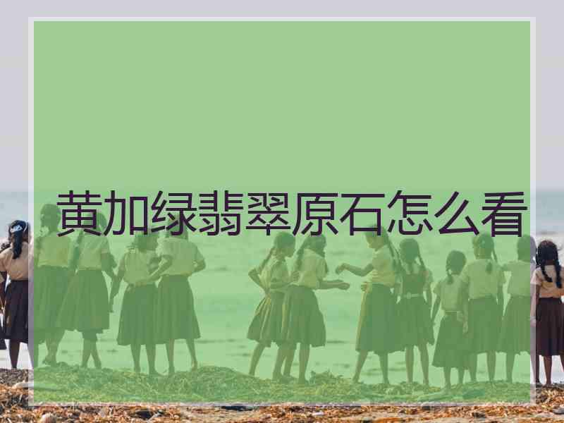 黄加绿翡翠原石怎么看