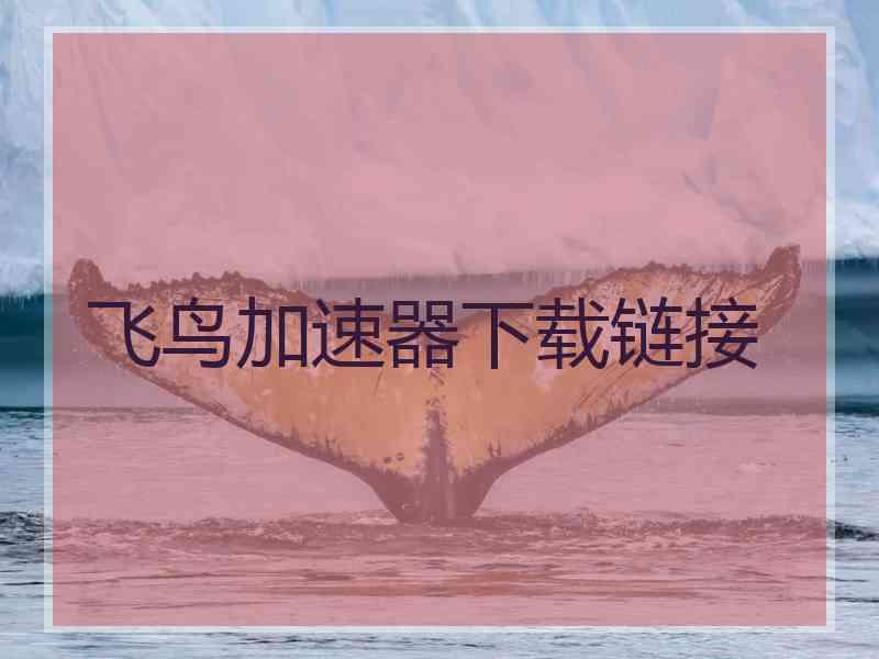飞鸟加速器下载链接