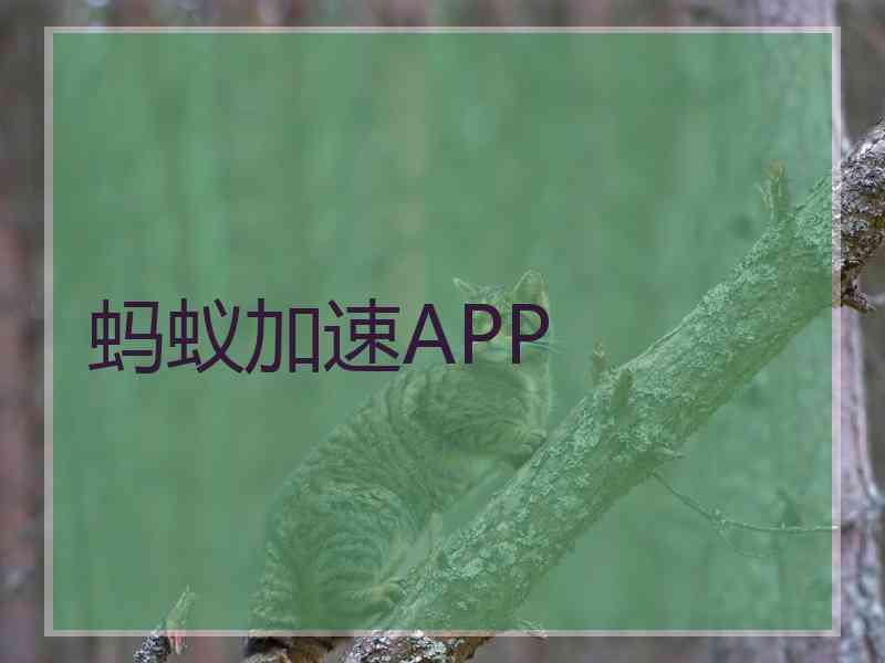 蚂蚁加速APP