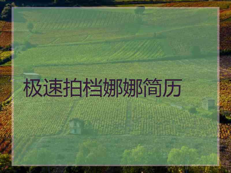 极速拍档娜娜简历