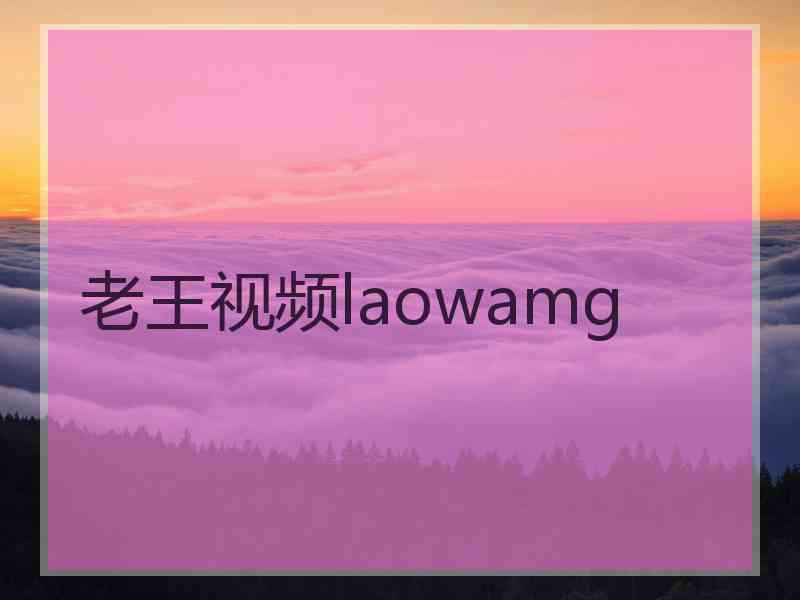 老王视频laowamg