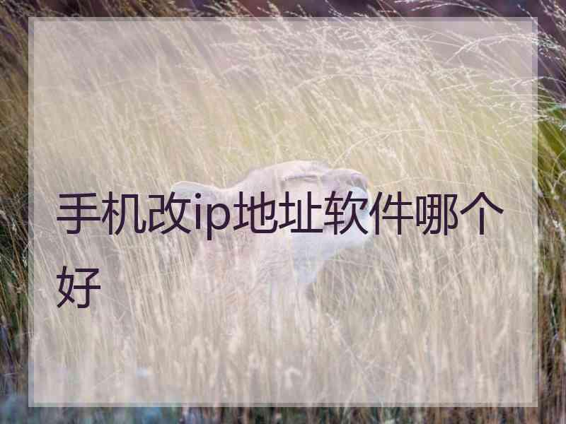 手机改ip地址软件哪个好