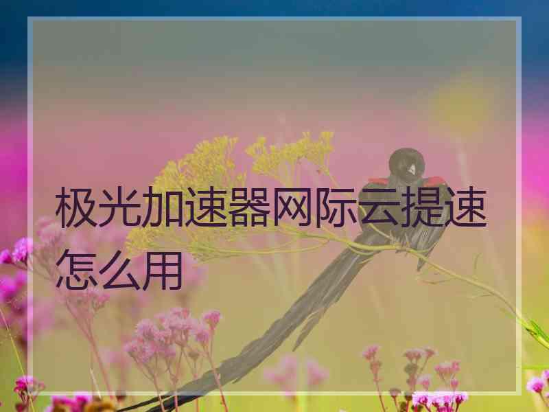 极光加速器网际云提速怎么用