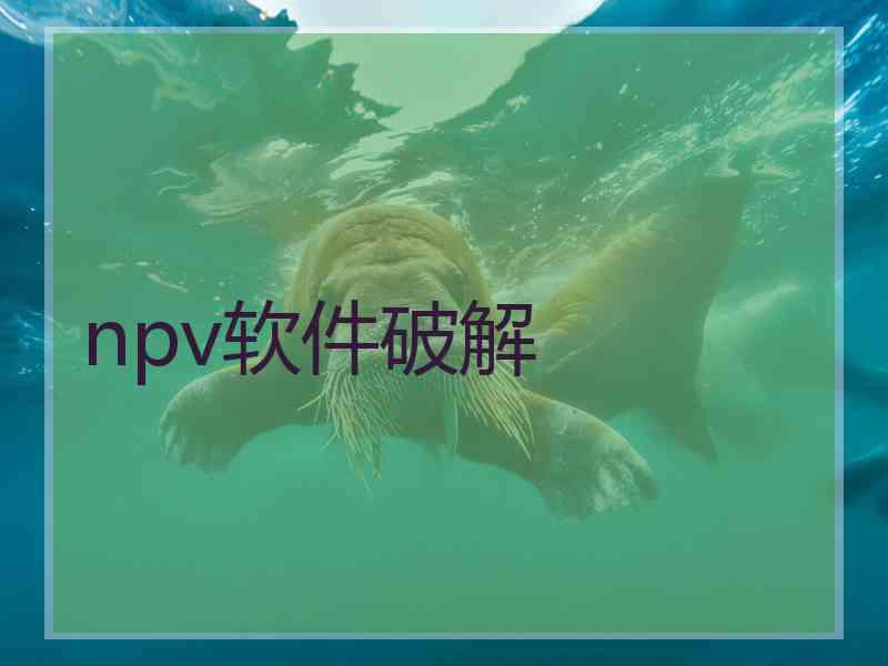 npv软件破解