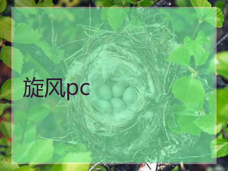 旋风pc