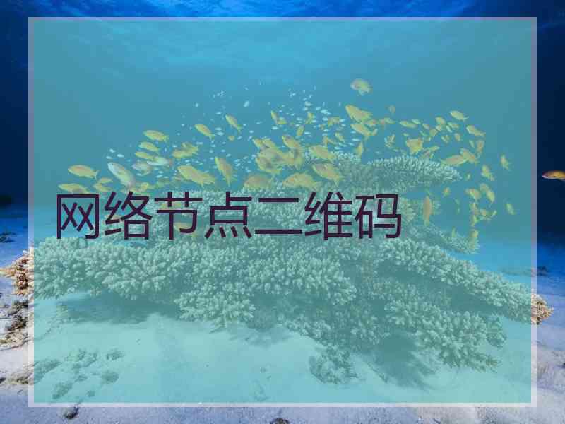网络节点二维码