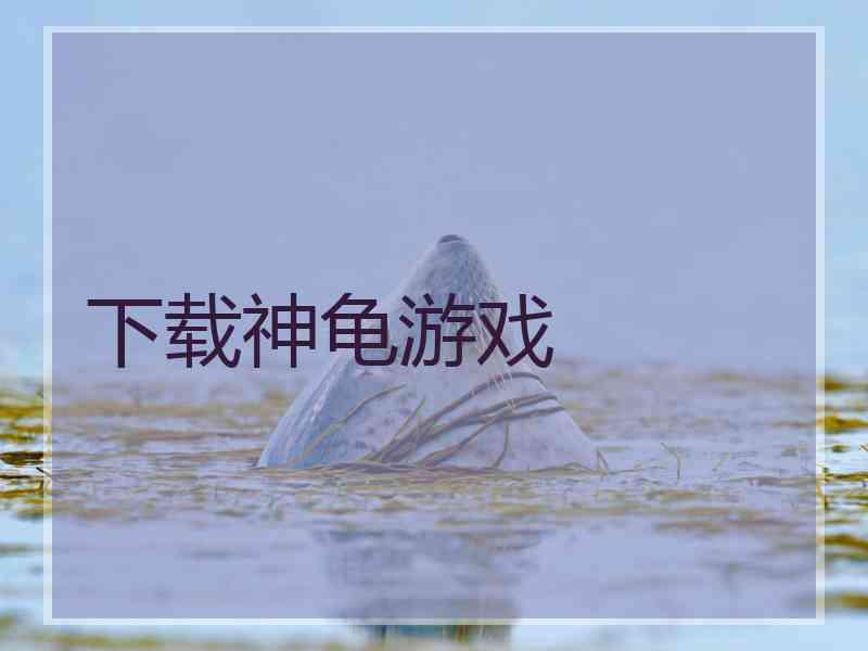 下载神龟游戏