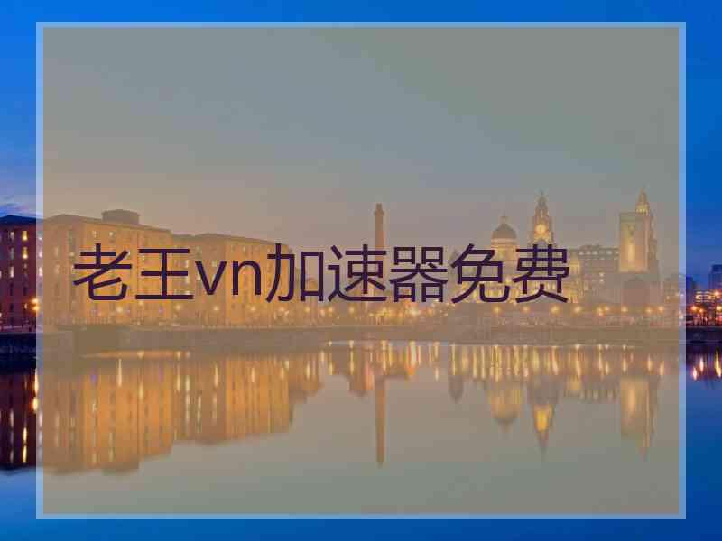 老王vn加速器免费