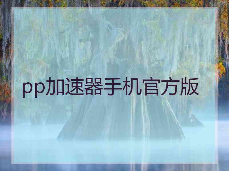 pp加速器手机官方版