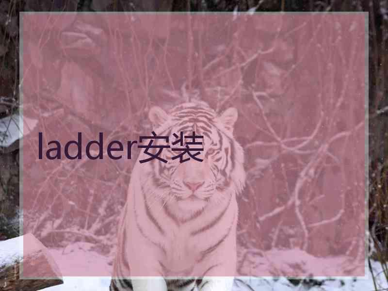 ladder安装