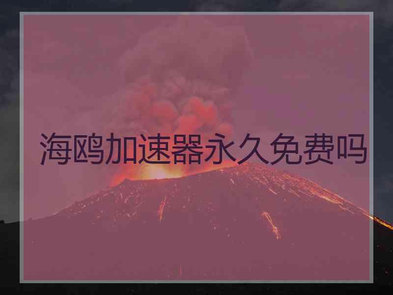 海鸥加速器永久免费吗