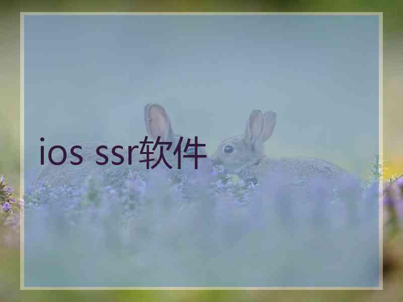 ios ssr软件