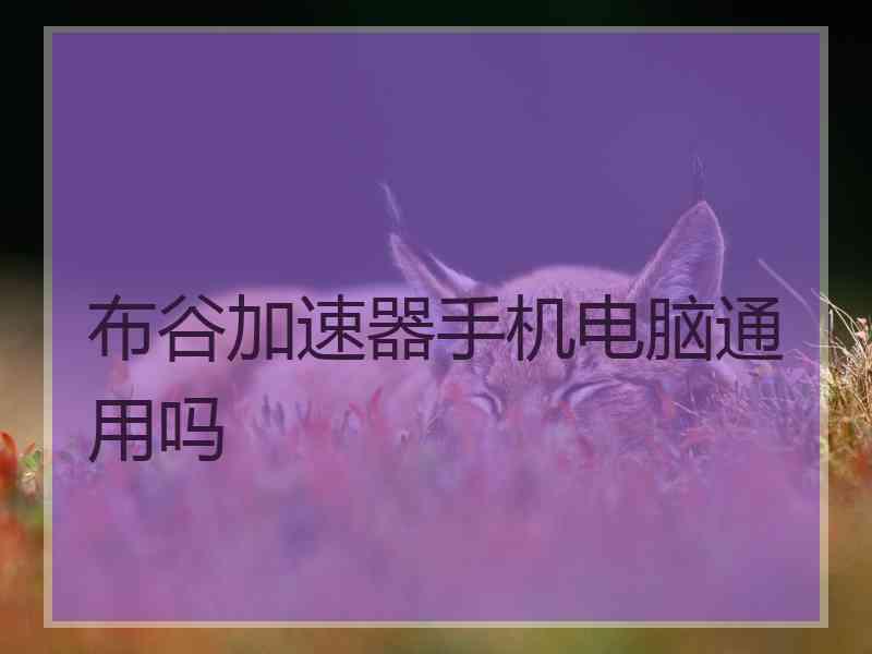 布谷加速器手机电脑通用吗