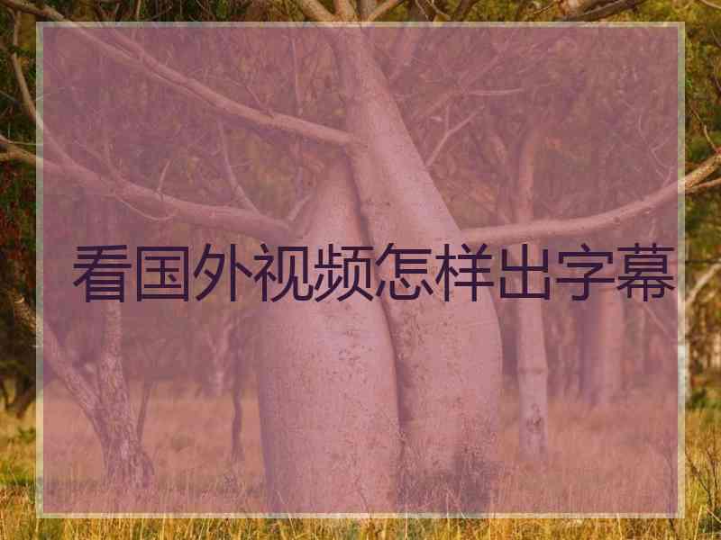 看国外视频怎样出字幕