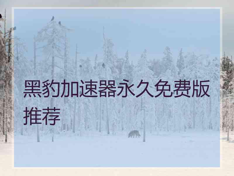黑豹加速器永久免费版推荐