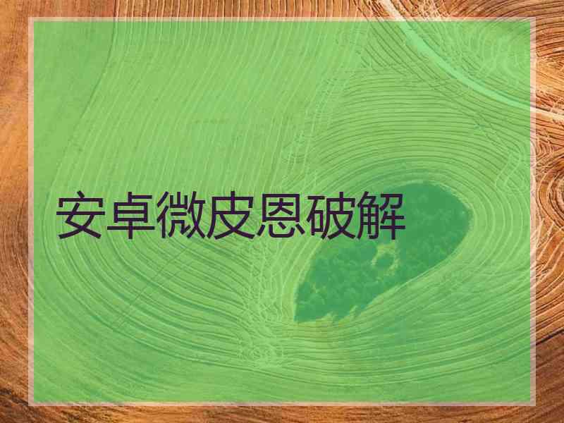 安卓微皮恩破解