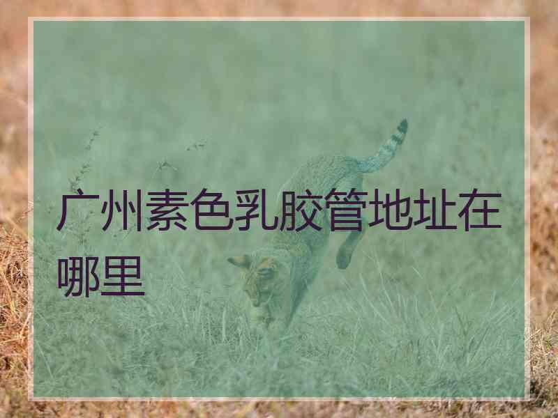 广州素色乳胶管地址在哪里