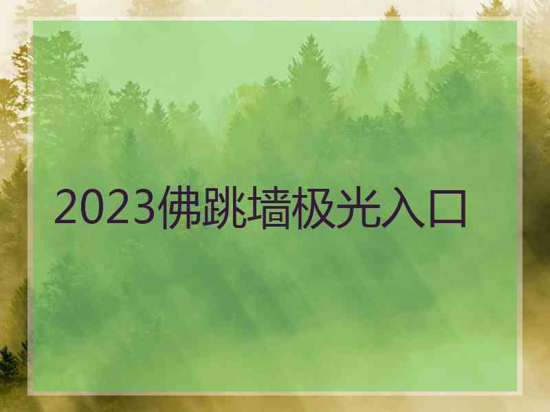 2023佛跳墙极光入口