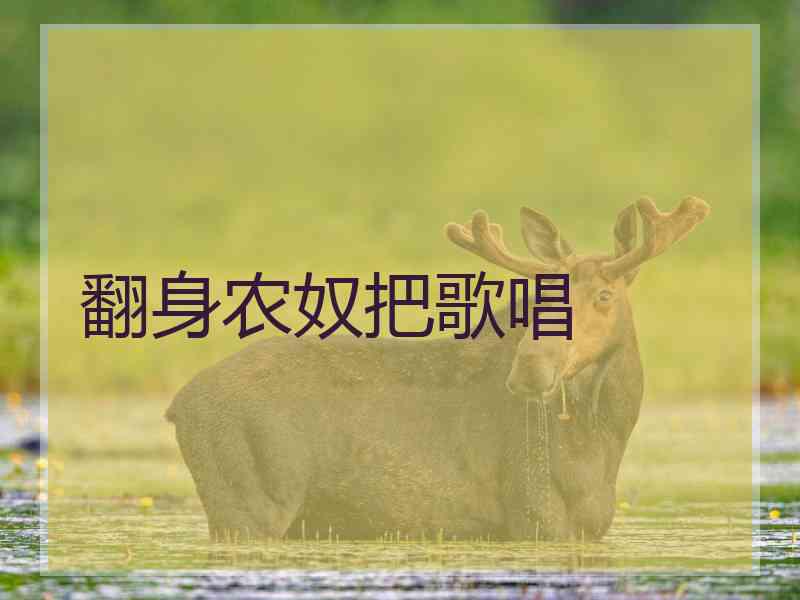 翻身农奴把歌唱
