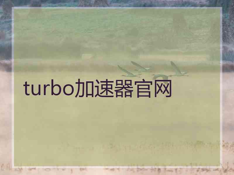 turbo加速器官网