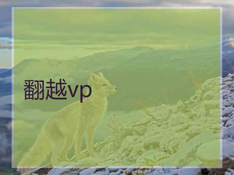 翻越vp