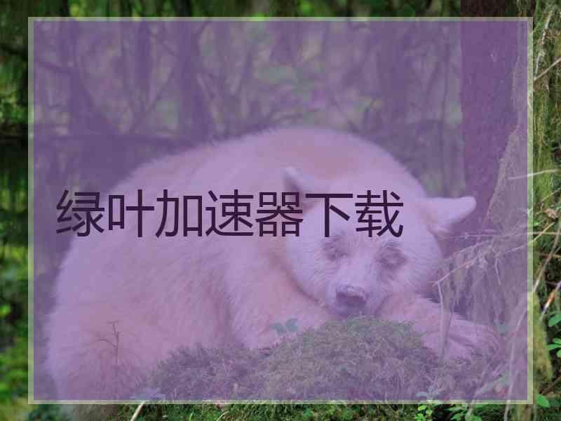 绿叶加速器下载