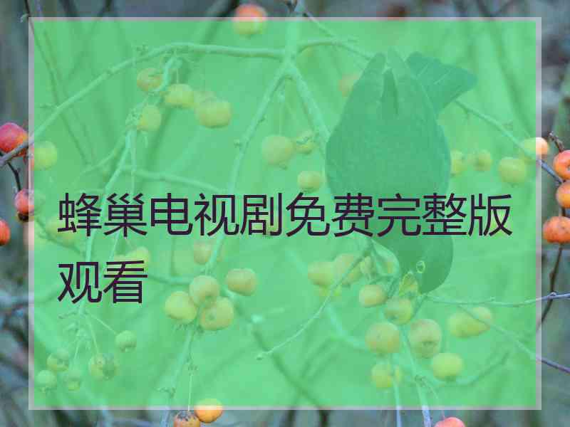 蜂巢电视剧免费完整版观看