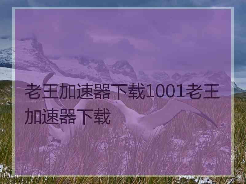老王加速器下载1001老王加速器下载