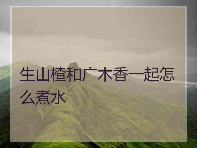 生山楂和广木香一起怎么煮水