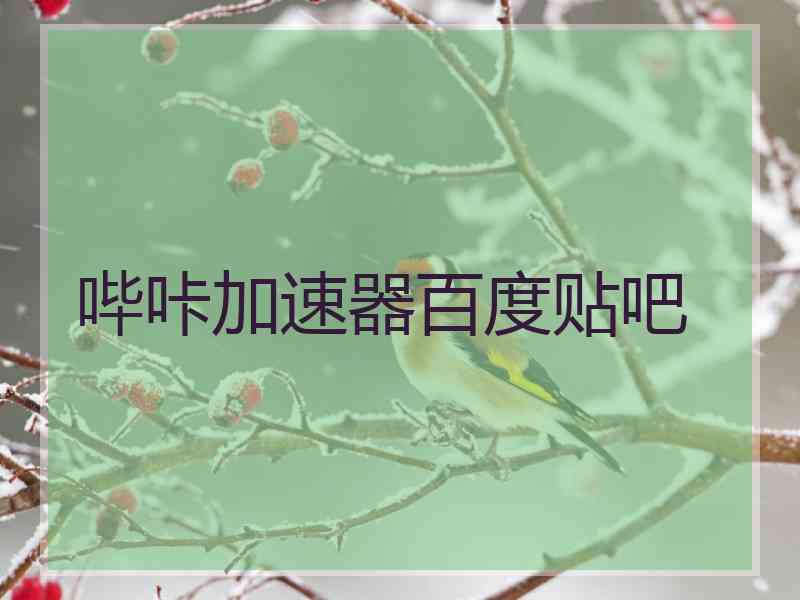 哔咔加速器百度贴吧