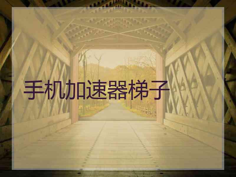 手机加速器梯子