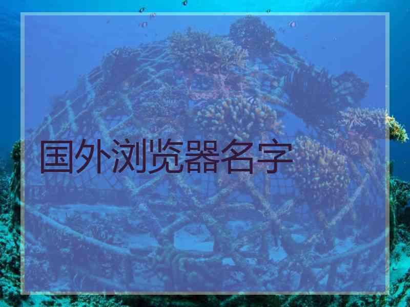 国外浏览器名字