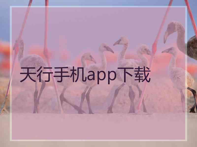 天行手机app下载