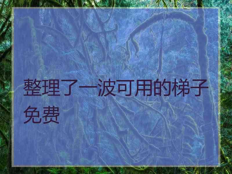 整理了一波可用的梯子免费