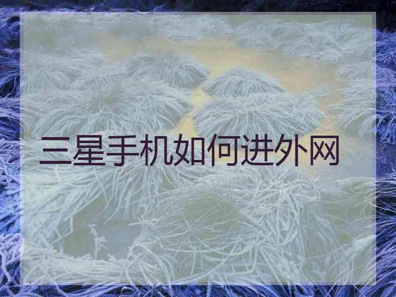 三星手机如何进外网