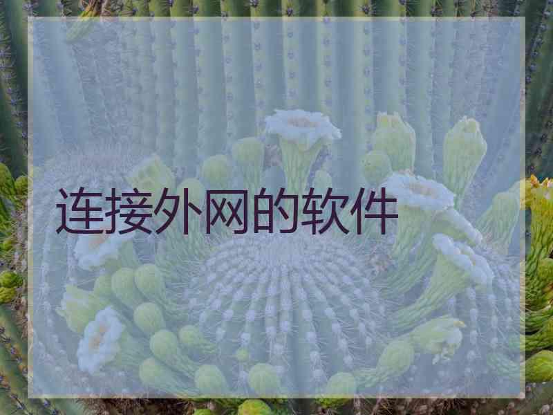 连接外网的软件
