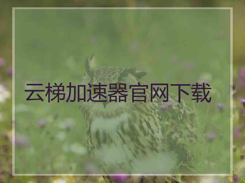 云梯加速器官网下载