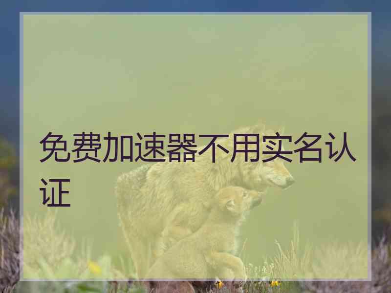 免费加速器不用实名认证