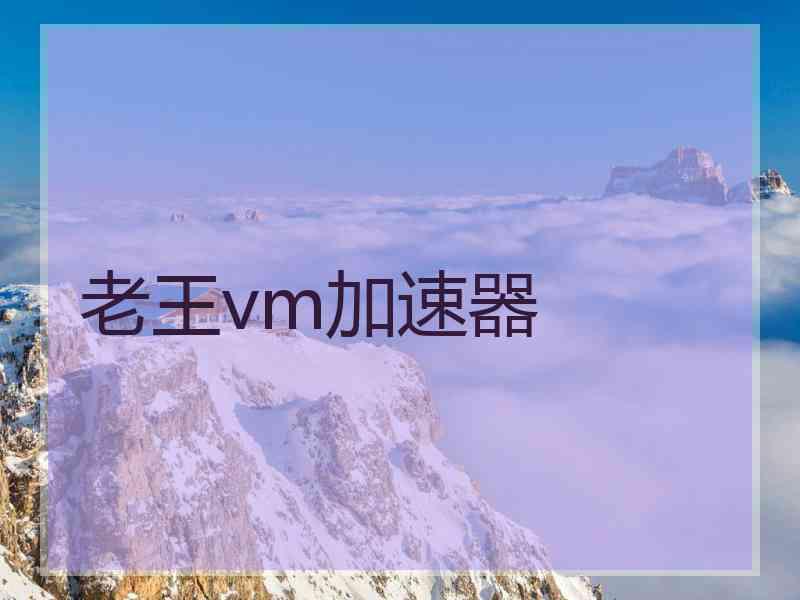 老王vm加速器