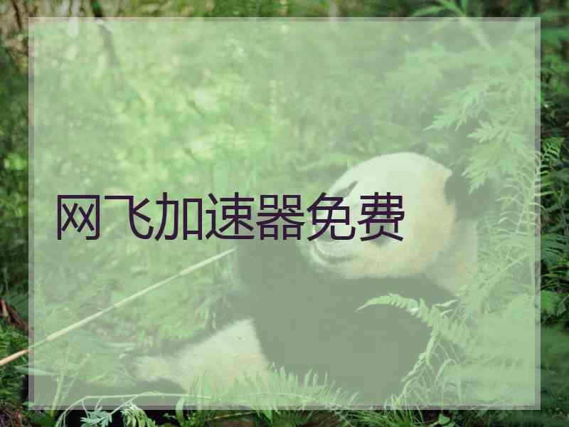 网飞加速器免费