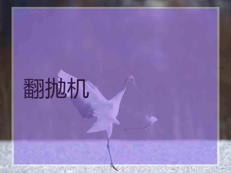 翻抛机