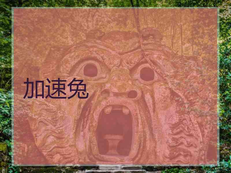加速兔