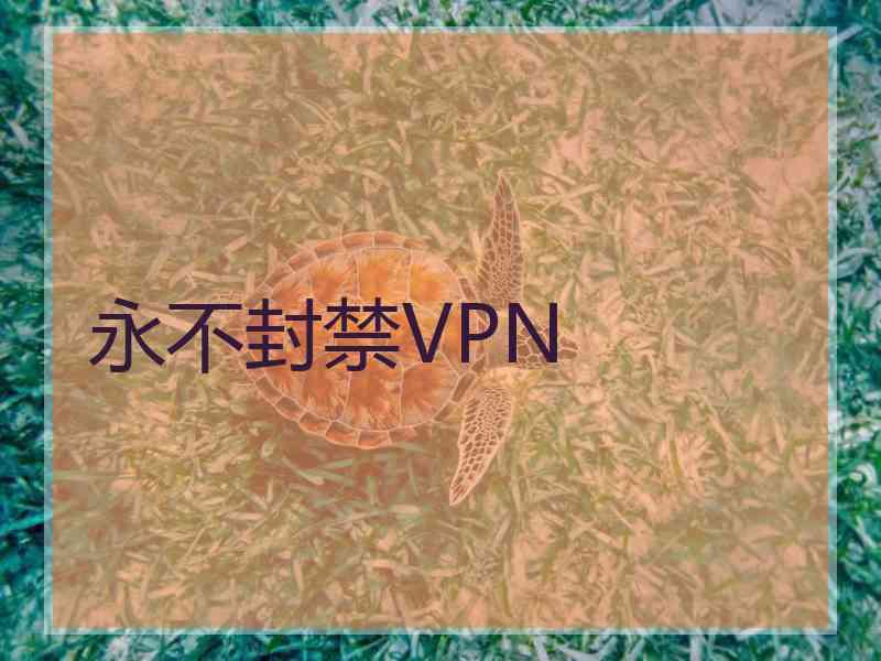 永不封禁VPN