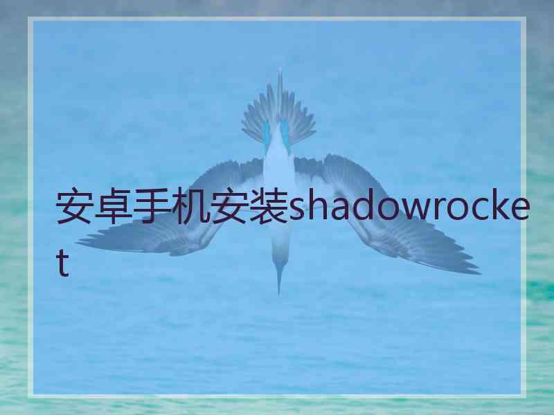 安卓手机安装shadowrocket