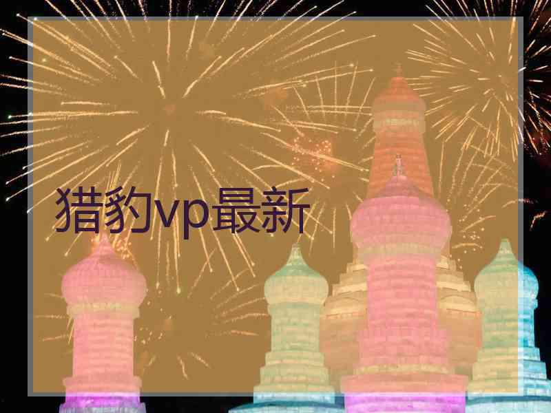 猎豹vp最新
