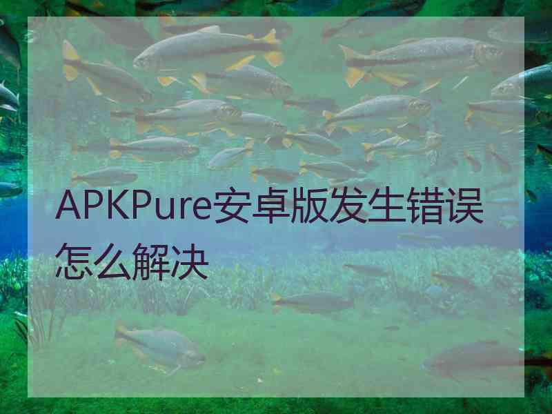 APKPure安卓版发生错误怎么解决