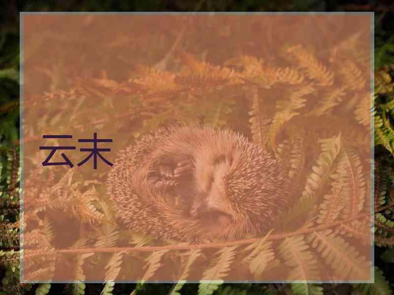 云末